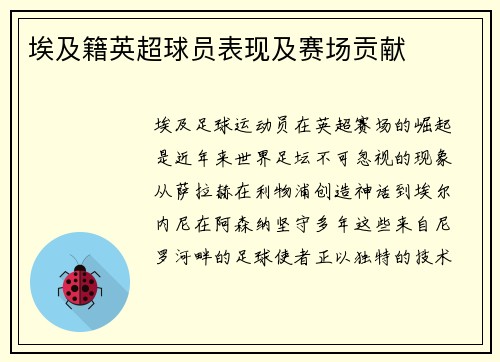 埃及籍英超球员表现及赛场贡献
